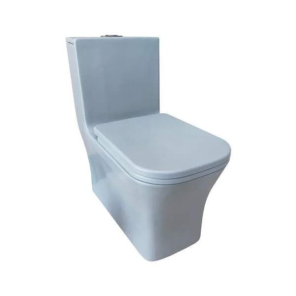 Vaso Sanitário Monobloco Caixa Acoplada Cinza R451 RENO