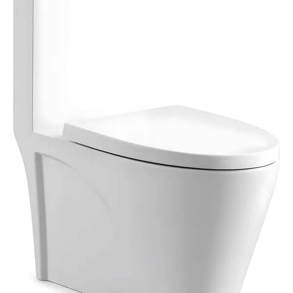 Vaso Sanitário Acoplado (monobloco) Para Banheiro Confort Plus